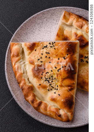 Cheburek meat pastry pie with herbs on the concrete background Cheburek meat pastry pie with herbs on the concrete background 124306986