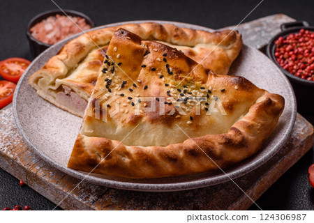 Cheburek meat pastry pie with herbs on the concrete background Cheburek meat pastry pie with herbs on the concrete background 124306987