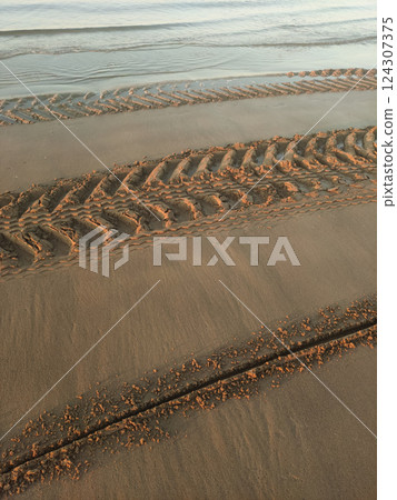 Tire imprints marking wet sandy shoreline, revealing textured path along adriatic coastline near bibione beach sunrise Tire imprints marking wet sandy shoreline, revealing textured path along adriatic coastline near bibione beach sunrise 124307375