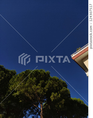 Blue sky arching over verdant trees, urban corner revealing summer morning scene in bibione, italy Blue sky arching over verdant trees, urban corner revealing summer morning scene in bibione, italy 124307517