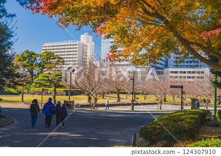 Autumn scenery of Sunpu Castle Park in Shizuoka City (Shizuoka Prefecture) 124307910