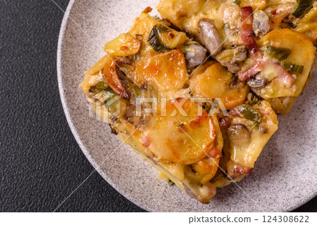 Shepherd's pie with potatoes, meat, vegetables, salt, spices and herbs 124308622