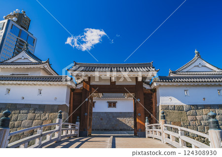 靜岡縣靜岡市駿府城公園東禦貢門及靜岡縣政府館的秋景 靜岡縣靜岡市駿府城公園東禦貢門及靜岡縣政府館的秋景 124308930