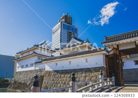 Autumn scenery of the Higashi-mikomon Gate of Sunpu Castle Park and the Shizuoka Prefectural Government Annex in Shizuoka City (Shizuoka Prefecture) 124308933
