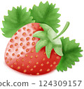 Strawberry drawing Strawberry drawing 124309157