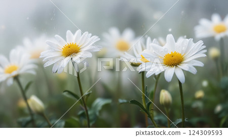 Floral background. Beautiful flowers close up. Floral background. Beautiful flowers close up. 124309593