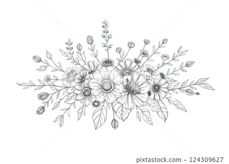 Floral sketch illustration. Beautiful delicate flowers. Floral sketch illustration. Beautiful delicate flowers. 124309627