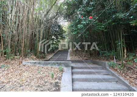 湯島聖堂通往新王神社的道路 湯島聖堂通往新王神社的道路 124310420