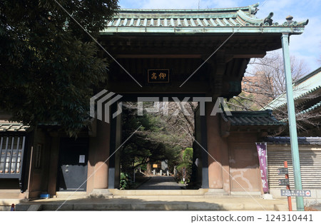 The Yokomon Gate of Yushima Seido 124310441