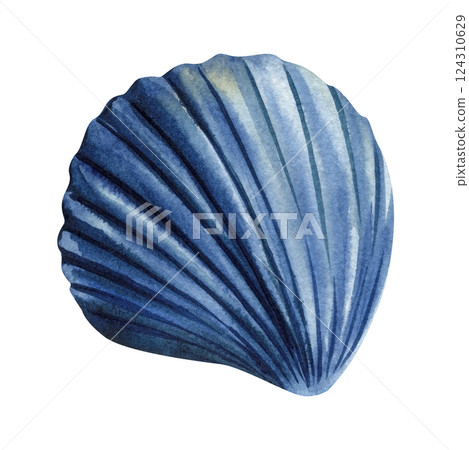 blue scallop shell, sea shell, watercolor painting ocean nature, marine life art, seashell isolated on white background blue scallop shell, sea shell, watercolor painting ocean nature, marine life art, seashell isolated on white background 124310629