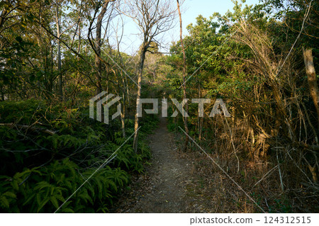 飛燕山登山路線 飛燕山登山路線 124312515