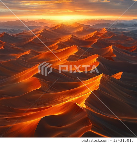 Golden sunlight bathes the majestic sand dunes of a vast desert landscape at sunset. 124313013