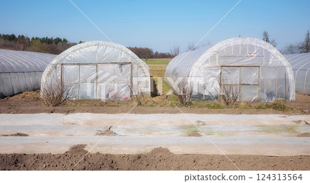 Polytunnels on an organic vegetable farm on sunny day. Polytunnels on an organic vegetable farm on sunny day. 124313564
