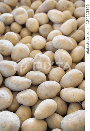 Photo of organic potatoes, selective focus. Photo of organic potatoes, selective focus. 124313566