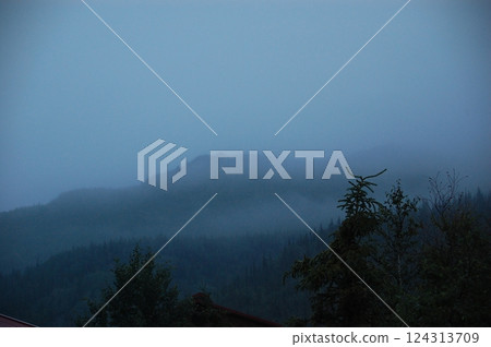 Misty mountain landscape at dawn with dense fog rolling over evergreen forests. 124313709
