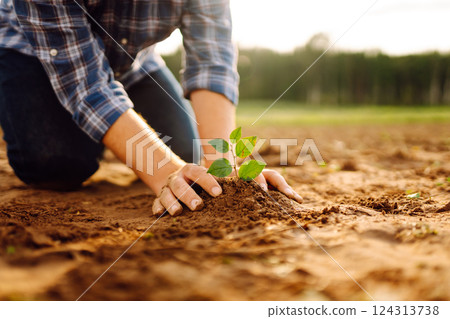 Close up - Hands of a young man taking care of a small plant in garden. Business or ecology concept. 124313738