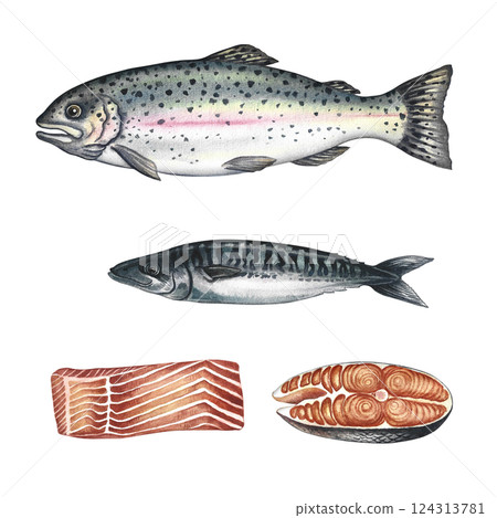 A set with fish, trout, mackerel and pieces of fish. A hand-drawn watercolor illustration. Color image of seafood. Separate from the background. For menus, recipe books, packages, labels, invitations. 124313781