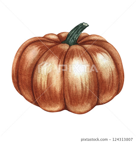 The pumpkin is orange. Handmade watercolor illustration. A color image of an autumn fruit. The isolate. Great for postcards, banners and flyers, posters, labels and prints. 124313807