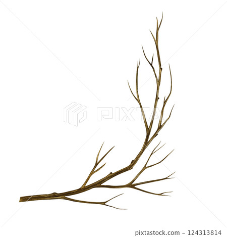 A bare tree branch. Handmade watercolor illustration. a color image of a natural element. The isolate. For postcards, prints, banners and posters. A bare tree branch. Handmade watercolor illustration. a color image of a natural element. The isolate. For postcards, prints, banners and posters. 124313814
