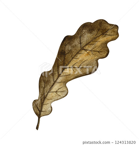 Autumn oak leaf. Handmade watercolor illustration. Color image of the autumn element. The isolate. Great for postcards, banners and flyers, posters, stickers and prints. Autumn oak leaf. Handmade watercolor illustration. Color image of the autumn element. The isolate. Great for postcards, banners and flyers, posters, stickers and prints. 124313820