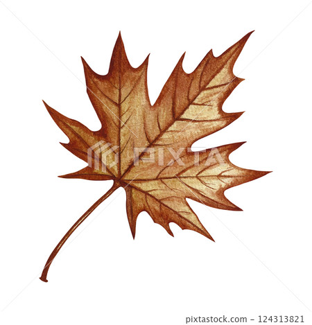 Autumn maple leaf. Handmade watercolor illustration. Color image of the autumn element. The isolate. Great for postcards, banners and flyers, posters, stickers and prints. 124313821