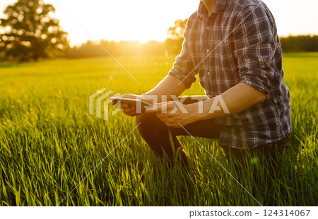 A young farmer checking the quality of young wheat using a specialized application. Harvest. A young farmer checking the quality of young wheat using a specialized application. Harvest. 124314067