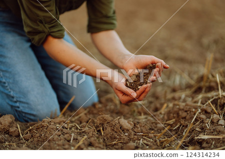 Close-up of a woman farmer's hands holding fresh soil. Agriculture, gardening concept. 124314234