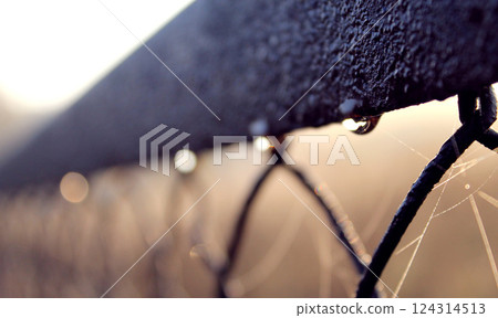 Early summer morning, dew and spider webs on a fence. Sunrise wallpaper background 124314513