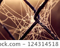 Spider web on a fence, early summer morning background wallpaper 124314518