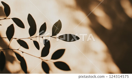Abstract natural shadow play on a textured surface, soft sunlight filtering through leaves, warm earthy tones, minimalist aesthetic with organic light and shadow contrast. 124314575