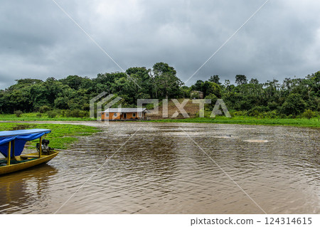 River boat trip at Parana do Mamori in the Amazon rainforest about 100 km south of Manaus in Brazil 124314615