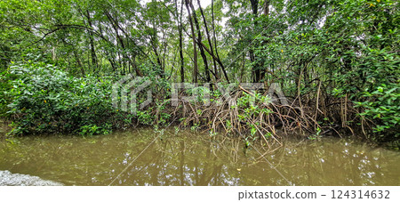 Boat trip on the Preguica River from Barreirinhas, Lencois Maranhenses to Atins, Maranhao, Brazil Boat trip on the Preguica River from Barreirinhas, Lencois Maranhenses to Atins, Maranhao, Brazil 124314632