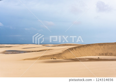 Dunes and lagoons of Atins, Lencois Maranhenses, Barreirinhas, Brazil. White sand dunes with pools of fresh water 124314656