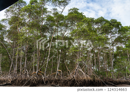 Boat trip on the Preguica River from Tutoia, Delta das Americas to Ilha das Canarias, Brazil. South America Boat trip on the Preguica River from Tutoia, Delta das Americas to Ilha das Canarias, Brazil. South America 124314663