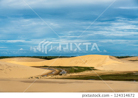 Dunas do Mouro at Ilha do Caju, Ilha das Canarias, Brazil. Delta do Parnaiba and Delta das Americas 124314672