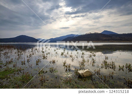 mood on a lakeshore mood on a lakeshore 124315218