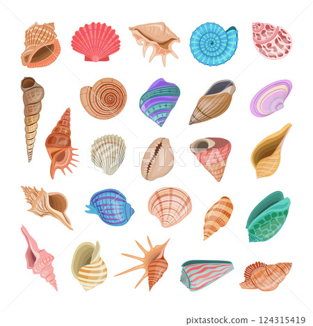 Collection of vector cartoon illustration of colorful seashells on white background. Collection of vector cartoon illustration of colorful seashells on white background. 124315419