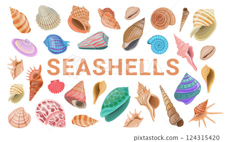 Vector cartoon banner template for sea theme of colorful seashells on white background. 124315420