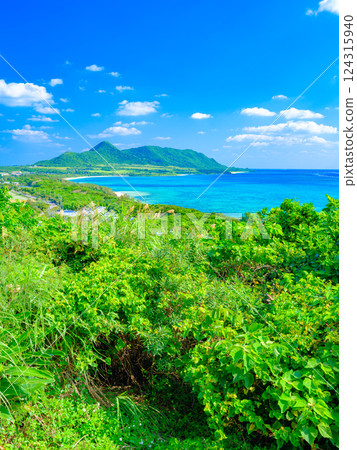 Okinawa's natural scenery as seen from Tamatorizaki Observatory on Ishigaki Island 124315940