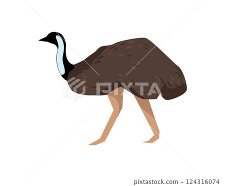 Emu Bird Emu Bird 124316074