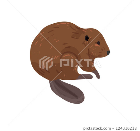 Beaver 124316218