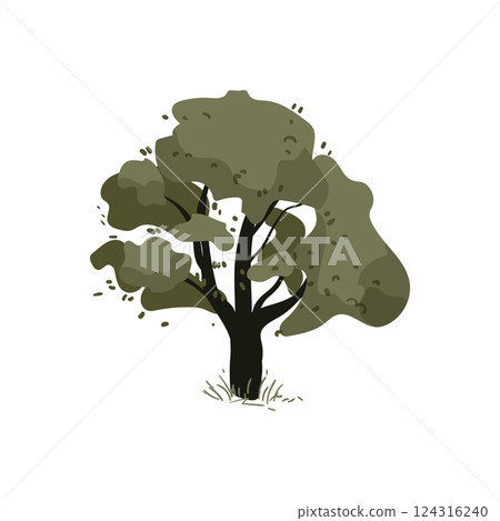 Olive Tree 124316240