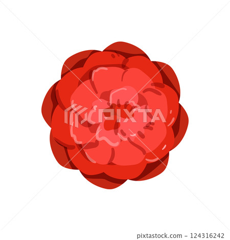 Portuguese Red Flower 124316242