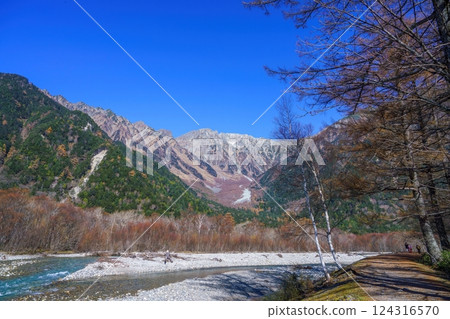 深秋時節穗高山脈與落葉鬆的黃葉景色 深秋時節穗高山脈與落葉鬆的黃葉景色 124316570