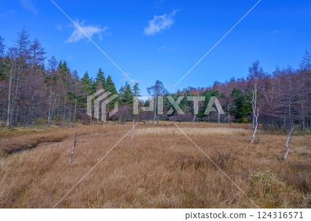 藍天白雲下的深秋大原濕地風景 124316571