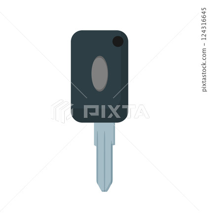 Vehicle Key with Remote Vehicle Key with Remote 124316645