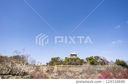 大阪城堡和藍天 大阪城堡和藍天 124316686