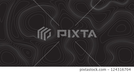 topographic map pattern background. Vector illustration 124316704