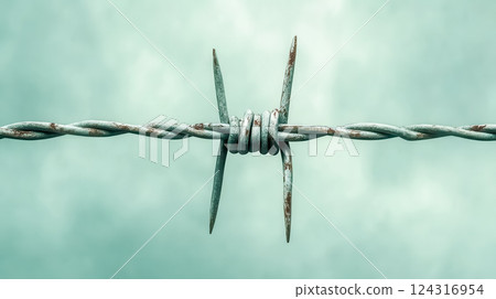 Close up of rusty barbed wire showing security and protection concept Close up of rusty barbed wire showing security and protection concept 124316954