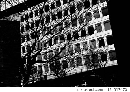 單色城市景觀 124317470